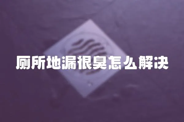 廁所地漏很臭怎么解決