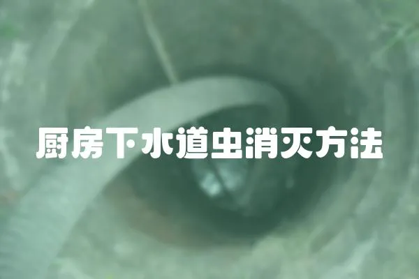 廚房下水道蟲消滅方法