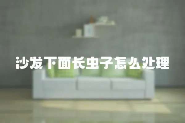 沙發(fā)下面長蟲子怎么處理