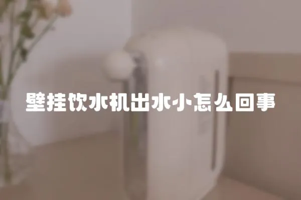 壁掛飲水機出水小怎么回事