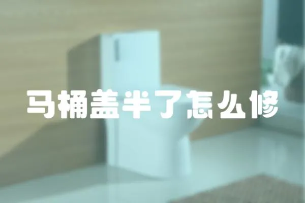 馬桶蓋半了怎么修