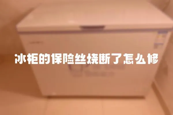 冰柜的保險絲燒斷了怎么修