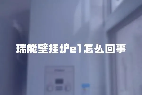 瑞能壁掛爐e1怎么回事