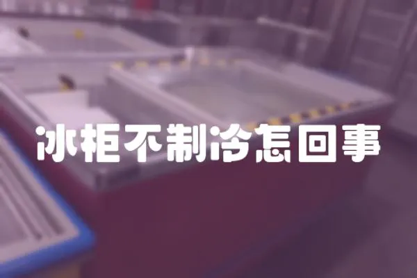 冰柜不制冷怎回事