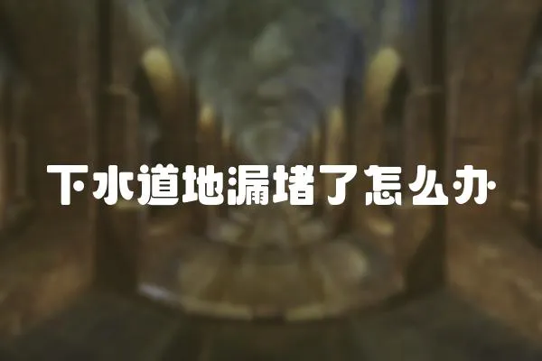 下水道地漏堵了怎么辦