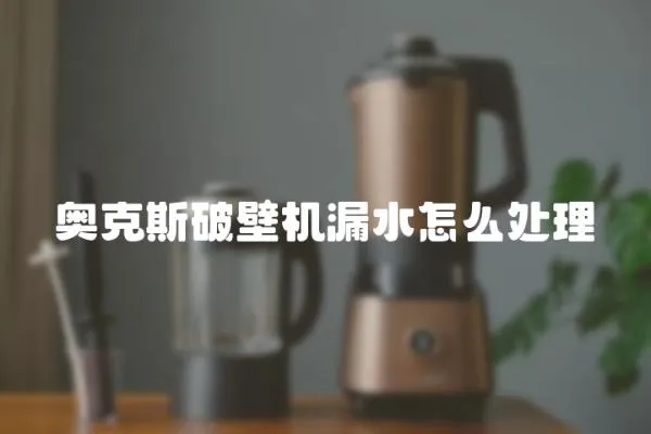 奧克斯破壁機漏水怎么處理