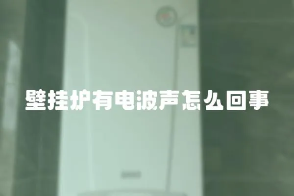 壁掛爐有電波聲怎么回事