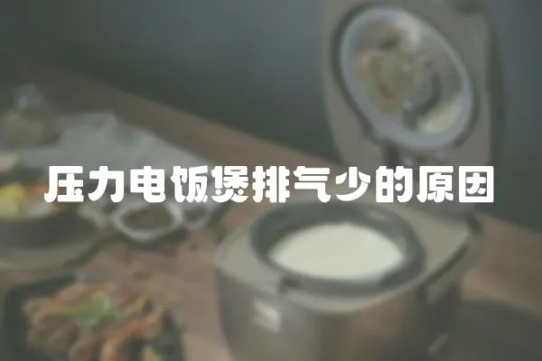 压力电饭煲排气少的原因