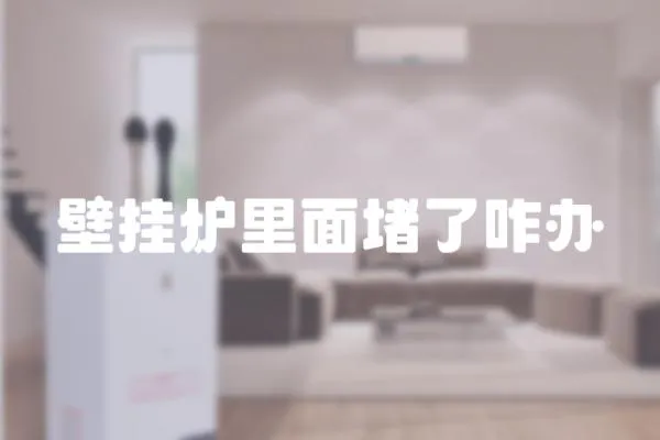 壁掛爐里面堵了咋辦