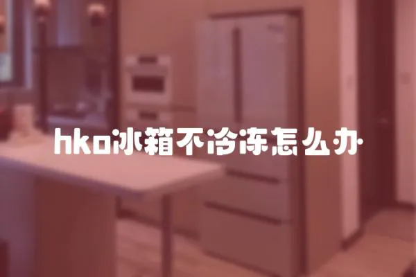 hko冰箱不冷凍怎么辦