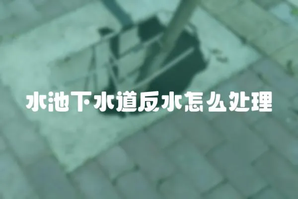 水池下水道反水怎么處理