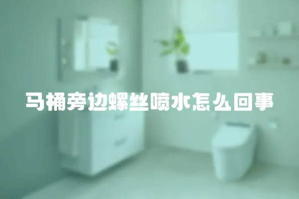 馬桶旁邊螺絲噴水怎么回事