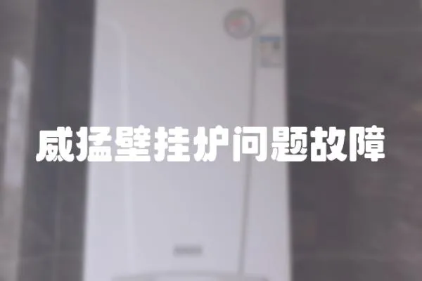 威猛壁掛爐問題故障