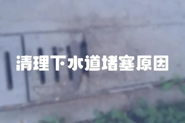 清理下水道堵塞原因