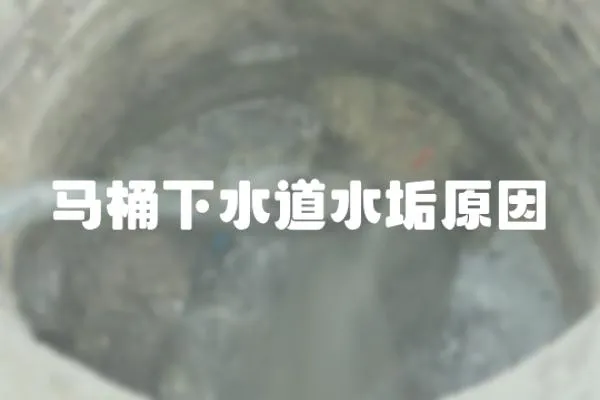 馬桶下水道水垢原因