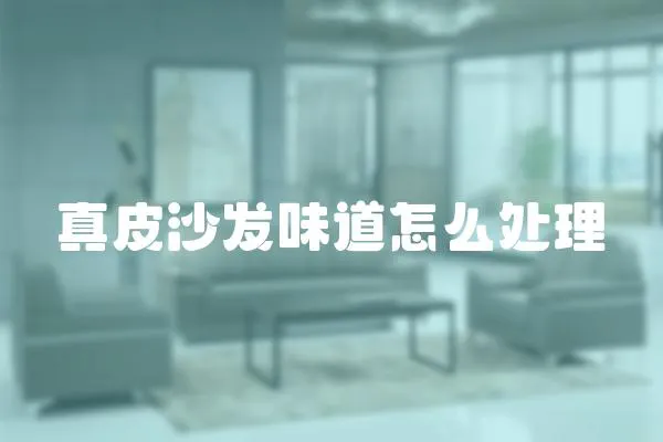 真皮沙發味道怎么處理