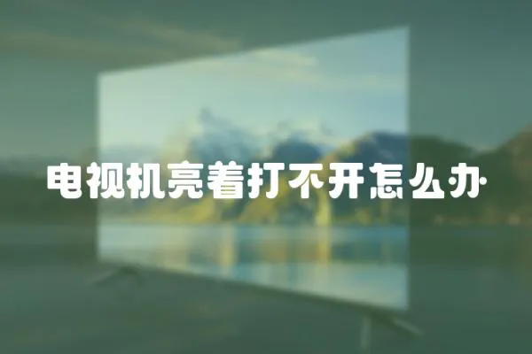 電視機亮著打不開怎么辦