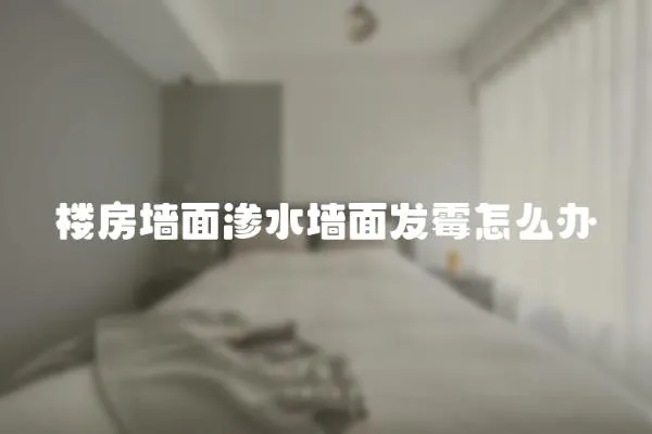 樓房墻面滲水墻面發(fā)霉怎么辦