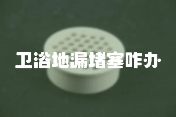 衛浴地漏堵塞咋辦