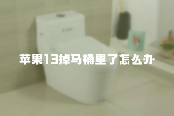 蘋果13掉馬桶里了怎么辦