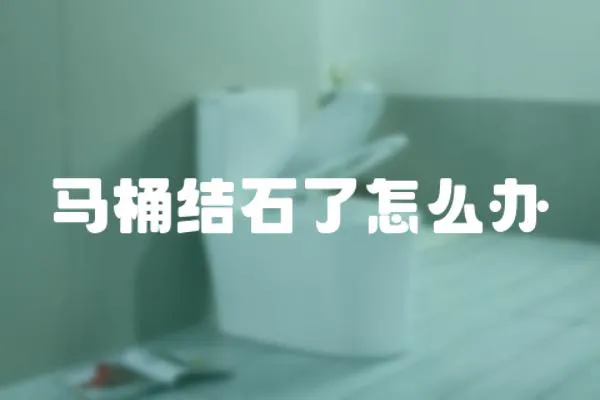馬桶結石了怎么辦