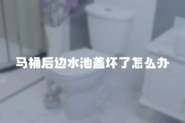 馬桶后邊水池蓋壞了怎么辦