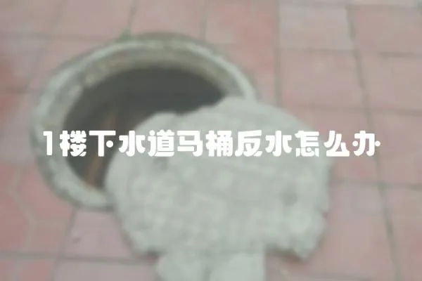 1樓下水道馬桶反水怎么辦