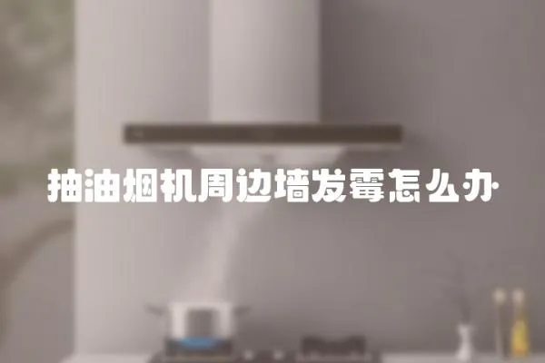 抽油煙機周邊墻發霉怎么辦