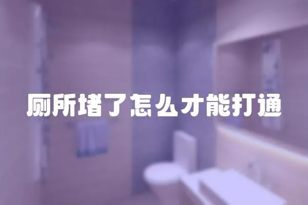 廁所堵了怎么才能打通