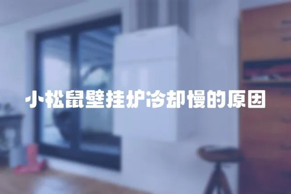小松鼠壁掛爐冷卻慢的原因