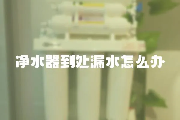 凈水器到處漏水怎么辦