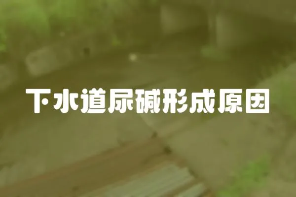 下水道尿堿形成原因