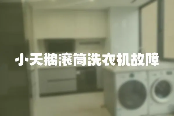 小天鵝滾筒洗衣機故障