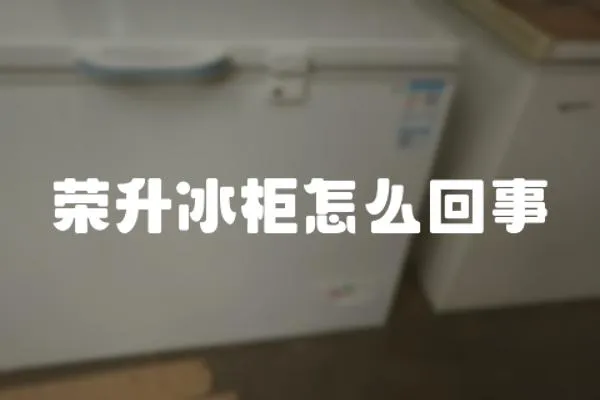 榮升冰柜怎么回事