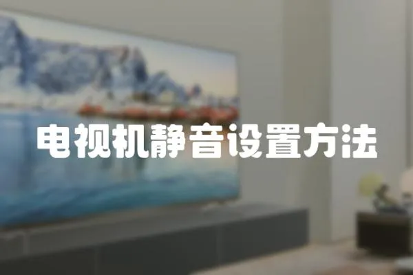 電視機靜音設置方法