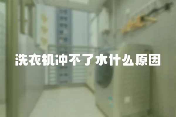 洗衣機沖不了水什么原因