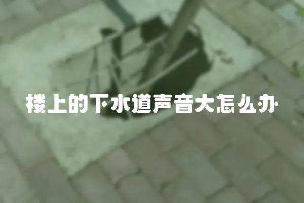 樓上的下水道聲音大怎么辦