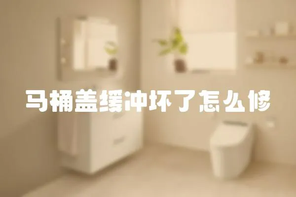 馬桶蓋緩沖壞了怎么修