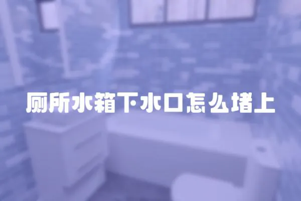 廁所水箱下水口怎么堵上