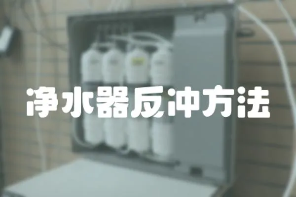 凈水器反沖方法
