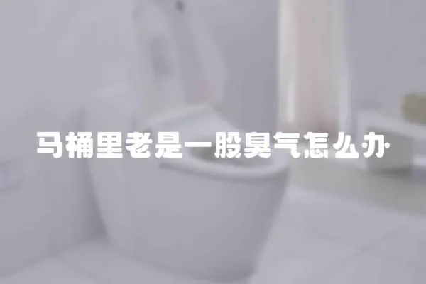 馬桶里老是一股臭氣怎么辦
