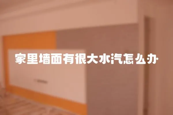 家里墻面有很大水汽怎么辦