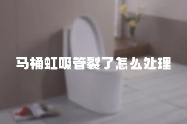 馬桶虹吸管裂了怎么處理