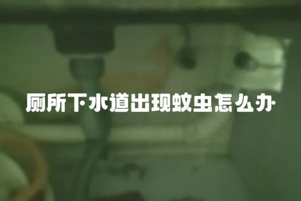 廁所下水道出現蚊蟲怎么辦