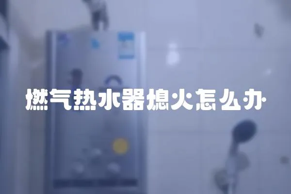 燃?xì)鉄崴飨ɑ鹪趺崔k