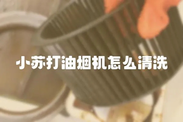小蘇打油煙機怎么清洗