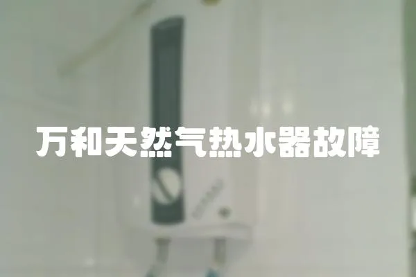萬和天然氣熱水器故障