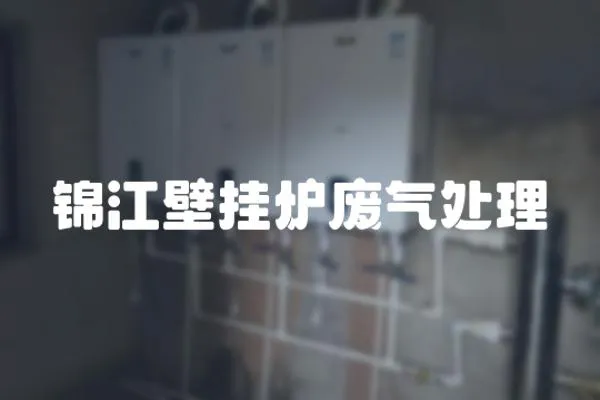 錦江壁掛爐廢氣處理