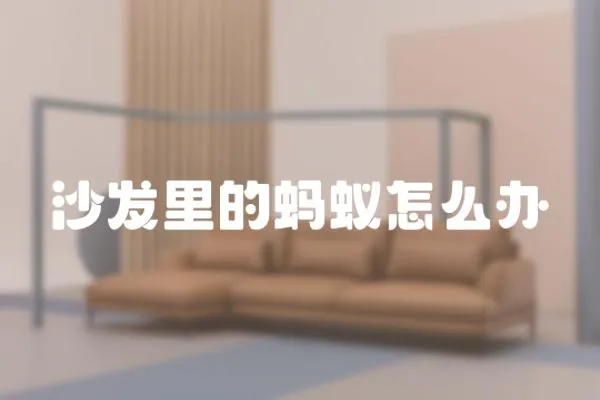 沙發里的螞蟻怎么辦