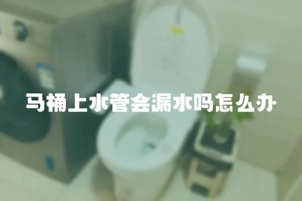 馬桶上水管會(huì)漏水嗎怎么辦